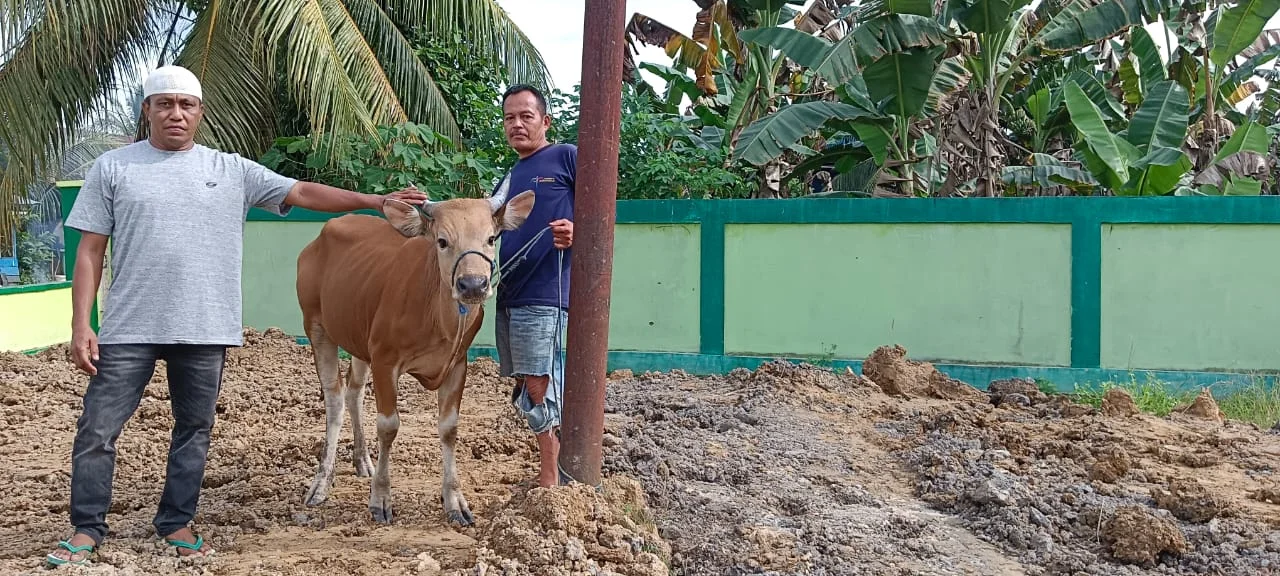 WhatsApp Image 2025-11-24 at 13.24.16